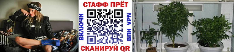 Магазины продажи наркотиков Верхотурье Псилоцибиновые грибы  АМФ  Бутират  COCAIN  A-PVP  ТГК  ГАШ  МАРИХУАНА 