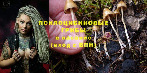 МДПВ Бронницы