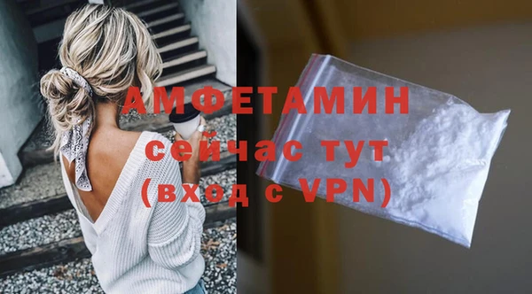 МДПВ Бронницы